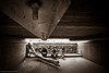 Music : 12 galleries with 343 photos